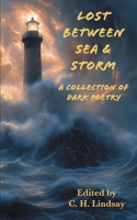 Lost Between Sea & Storm: A Collection of Dark Poetry 1952043190 Book Cover