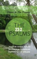 By the Still Waters: Peace in The Process 0999183745 Book Cover