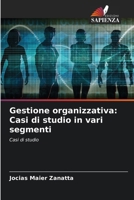 Gestione organizzativa: Casi di studio in vari segmenti: Casi di studio (Italian Edition) 6208714818 Book Cover