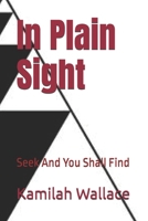In Plain Sight: Seek And You Shall Find B0FYVJ7SX9 Book Cover