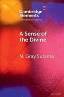 A Sense of the Divine: An Affective Model of General Revelation from the Reformed Tradition 1009527894 Book Cover
