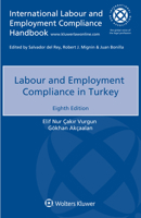 Labour and Employment Compliance in Turkey 940350336X Book Cover