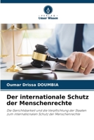 Der internationale Schutz der Menschenrechte 6205728966 Book Cover