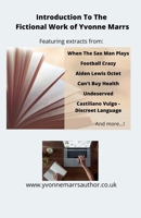 Introduction To The Fictional Work of Yvonne Marrs B0CTS36RVV Book Cover