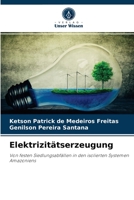 Elektrizitätserzeugung: Von festen Siedlungsabfällen in den isolierten Systemen Amazoniens 6204030175 Book Cover