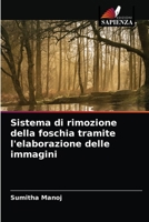 Sistema di rimozione della foschia tramite l'elaborazione delle immagini 6203618365 Book Cover