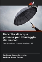 Raccolta di acqua piovana per il lavaggio dei veicoli (Italian Edition) 6208638372 Book Cover