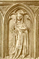 Conservation of the California Tule Elk: A Socioeconomic Study of a Survival Problem 0888640013 Book Cover