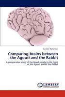 Comparing brains between the Agouti and the Rabbit: A comparative study of the blood supply to the brain of the Agouti and of the Rabbit 3659293512 Book Cover