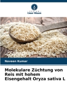 Molekulare Züchtung von Reis mit hohem Eisengehalt Oryza sativa L 6205276127 Book Cover