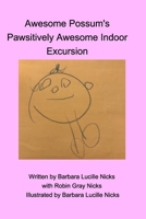 Awesome Possum's Pawsitively Awesome Indoor Excursion 171437422X Book Cover