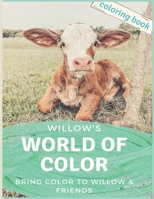 Willow's World of Color: Willow's World B08GV8ZX7C Book Cover