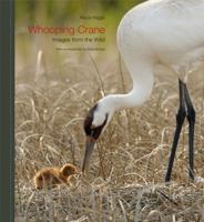 Whooping Crane: Images from the Wild 160344209X Book Cover