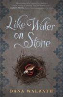 Like Water on Stone 038574398X Book Cover