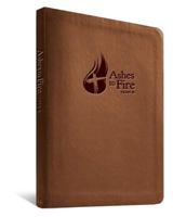 Ashes to Fire Year B Devotional: Daily Reflections from Ash Wednesday to Pentecost 0834127628 Book Cover
