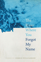 The River Where You Forgot My Name 0809337479 Book Cover
