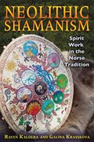 Neolithic Shamanism: Spirit Work in the Norse Tradition 1594774900 Book Cover