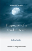 Fragments of a Tender Heart B0FH5J6YZ3 Book Cover