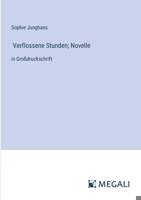 Verflossene Stunden; Novelle: in Großdruckschrift (German Edition) 3563285977 Book Cover