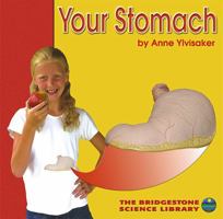 Your Stomach 0736811516 Book Cover