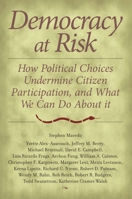 Democracy At Risk: How Political Choices Undermine Citizen Participation And What We Can Do About It 0815754043 Book Cover