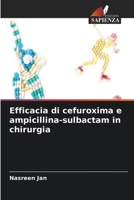Efficacia di cefuroxima e ampicillina-sulbactam in chirurgia (Italian Edition) 6208177790 Book Cover
