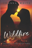 Wildfire: Calamity's Hope Book 3 B0CV18FNSP Book Cover
