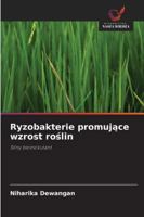 Ryzobakterie promujace wzrost roslin: Silny bioinokulant (Polish Edition) 6203916501 Book Cover