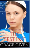 An Amish Romance: The Testing 1535246499 Book Cover