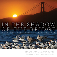 In the Shadow of the Bridge 1597146919 Book Cover