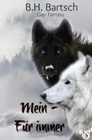 Mein - Für immer 1539951413 Book Cover
