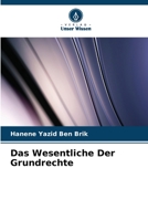 Das Wesentliche Der Grundrechte 6206217841 Book Cover