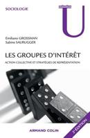 Les groupes d'intérêt: Action collective et stratégies de représentation 2200259980 Book Cover