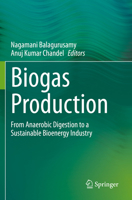 Biogas Production: From Anaerobic Digestion to a Sustainable Bioenergy Industry 3030588297 Book Cover