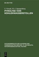 Pyrolyse Von Kohlenwasserstollen 3112584651 Book Cover