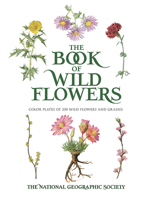 The Book of Wild Flowers: Color Plates of 250 Wild Flowers and Grasses 0486840948 Book Cover