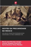 Gestão Da Precariedade No México 6209319920 Book Cover