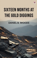 Sixteen Months At The Gold Diggings 9371134615 Book Cover