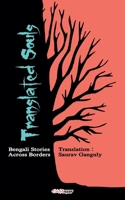 Translated Souls B0GGY856R2 Book Cover