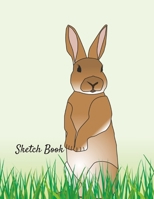 Sketch Book: Easter Bunny Themed Notebook for Drawing, Writing, Painting, Sketching or Doodling, 120 Pages, 8.5 x 11 167519209X Book Cover