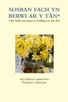 SOSBAN FACH YN BERWI AR Y TÂN* 1312068922 Book Cover