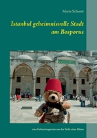 Istanbul geheimnisvolle Stadt am Bosporus: eine Geburtstagsreise aus der Sicht eines Bären 374319726X Book Cover