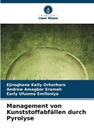 Management von Kunststoffabfällen durch Pyrolyse (German Edition) 6209723721 Book Cover