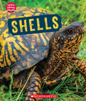 Shells (Learn About: Animal Coverings) 1338898094 Book Cover
