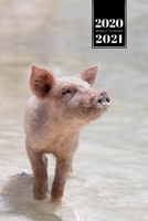 Pig Pork Piglet Farming Farmer Week Planner Weekly Organizer Calendar 2020 / 2021 - Sandy Beach: Cute Wildlife Animal Pet Bullet Journal Notebook Diary in 6” x 9” Inch Pocket Size 167576591X Book Cover