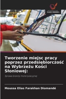 Tworzenie miejsc pracy poprzez przedsiebiorczosc na Wybrzezu Kosci Sloniowej (Polish Edition) 6209869300 Book Cover