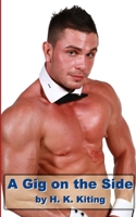 A Gig on the Side 1499720394 Book Cover