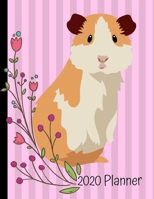 2020 Planner: Guinea Pig Pink 2020 Weekly Planner Organizer Dated Calendar And ToDo List Tracker Notebook 1708129898 Book Cover