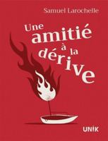 LES DERIVES DE L'AMITIE 2898126306 Book Cover