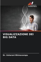 Visualizzazione Dei Big Data (Italian Edition) 6209872360 Book Cover
